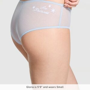 PINK Victoria's Secret Sheer Panties - Light Blue